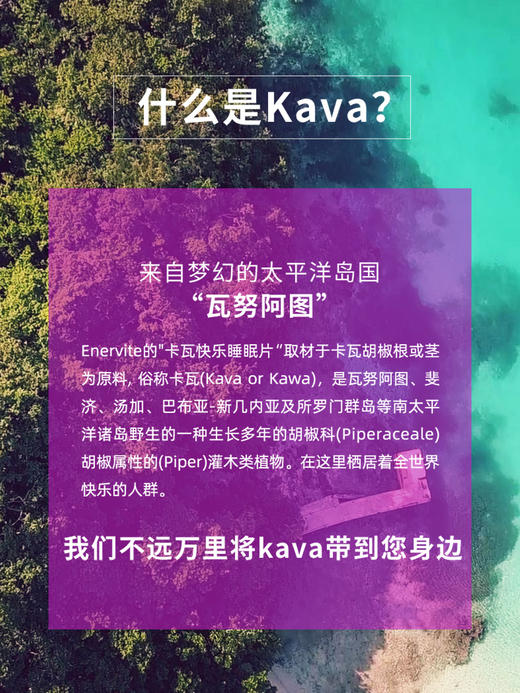 澳洲Enervite澳乐维他Kava卡瓦快乐睡眠片 商品图4