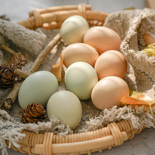【每周三周六发货】贵州高山土鸡蛋40枚/箱来自海拔2300米彝族苗族乡无污染生态鸡蛋（收到需立马放入冰箱冷藏！） 商品图5