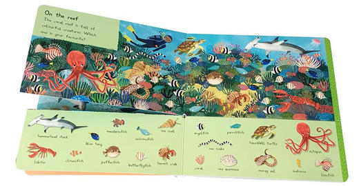 101种海洋生物 英文原版绘本 There Are 101 Sea Creatures in This Book 英文版儿童英语启蒙翻翻纸板书 益智科普亲子阅读图画书 商品图1