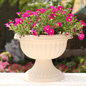 [园艺资材] 创意个性高脚款酒杯型网红塑料大花盆