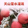 新疆阿克苏冰糖心苹果 特级大果 商品缩略图4