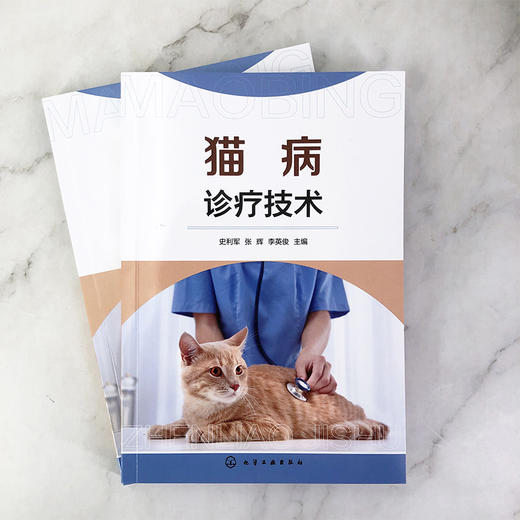 猫病诊疗技术 商品图1