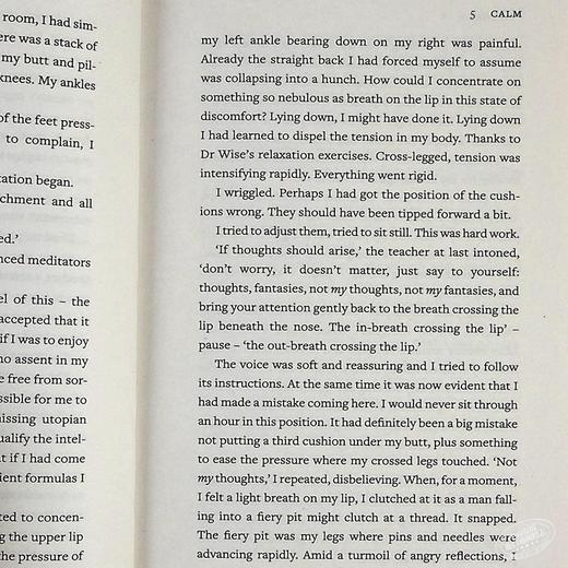 【中商原版】平静 Vintage迷你系列 英文原版 Calm: Vintage Minis Tim Parks 英语小说文学读物  企鹅兰登封面展 商品图6