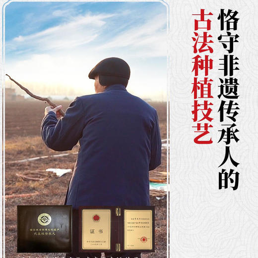 【非遗传人的铁棍山药】张宝山新鲜山药5斤张宝山的温县正宗垆土怀生 商品图2