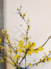 配花 ｜ 中国腊梅 商品缩略图4