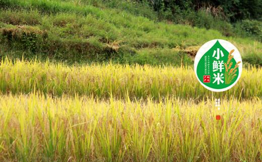 册亨小鲜米5kg真空包装 商品图1