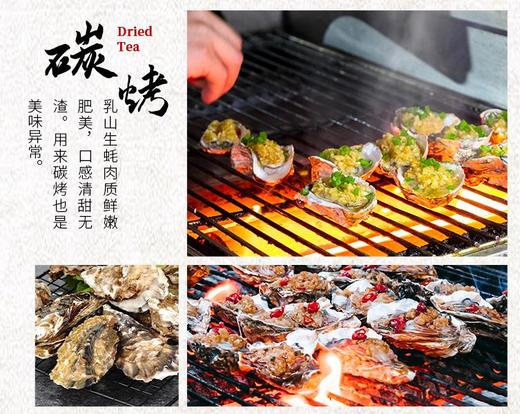 【一入蚝门深似海】真正乳山生蚝乳山核心产区国内生蚝的天花板完美媲美国外顶级生蚝5斤/箱（6~8个）个大肉美营养丰富国家地理标志 商品图9