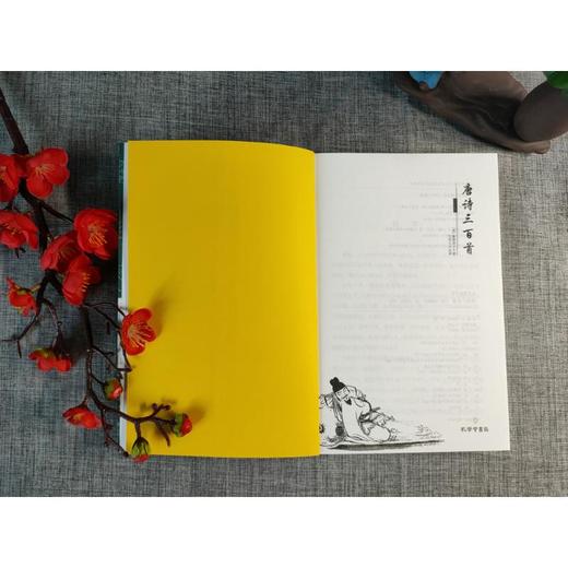 唐诗三百首 商品图4