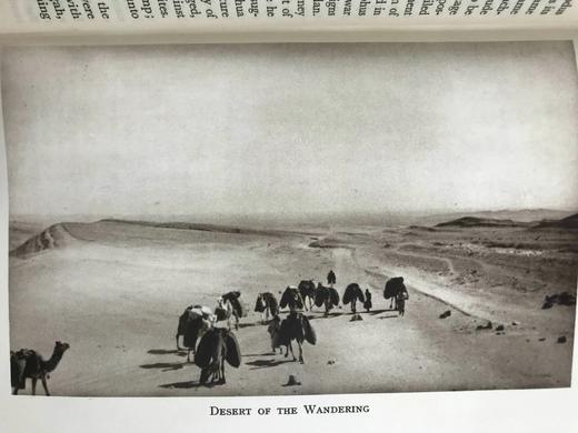 沿着摩西的脚步 25幅插图 漆布精装32开 商品图5