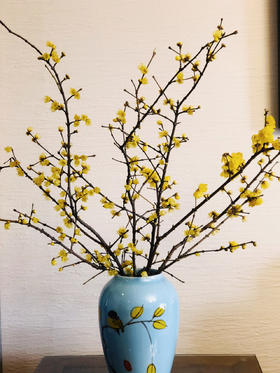 配花 ｜ 中国腊梅