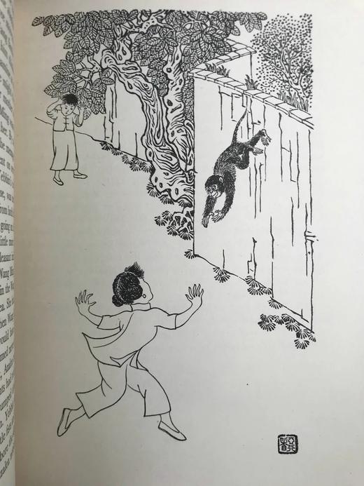 蒋彝《野宾》 近百幅插图（含4幅彩色） 布面精装大32开 商品图8