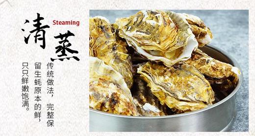 【一入蚝门深似海】真正乳山生蚝乳山核心产区国内生蚝的天花板完美媲美国外顶级生蚝5斤/箱（6~8个）个大肉美营养丰富国家地理标志 商品图10