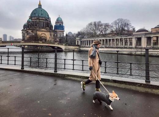 【羊绒大衣天花板】【稀缺原料-内蒙赤峰罕山有机羊绒】世界Ding级羊绒羊绒大衣【非质量问题不退不换】 商品图7