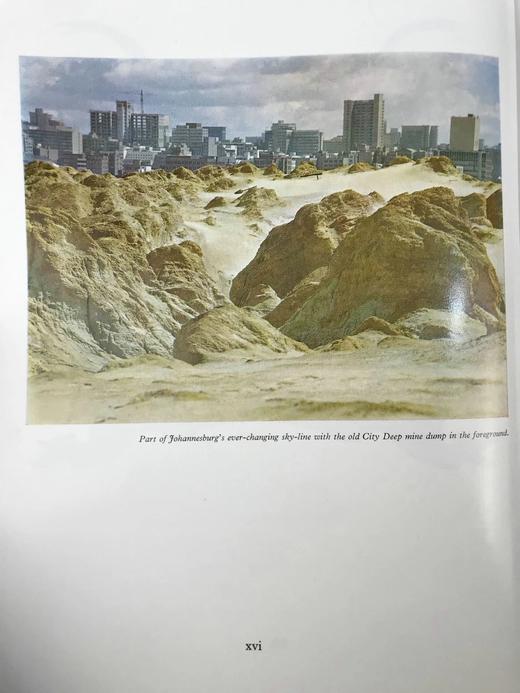 约翰内斯堡城市传奇故事集 数百幅插图 精装16开 商品图7