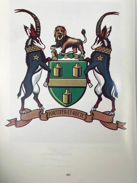 约翰内斯堡城市传奇故事集 数百幅插图 精装16开 商品图8