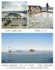 【开袋即烹的大黄花鱼！250g*6条】“中国黄鱼之乡”福建宁德国家地理标志产品天然无污染！仅一根主刺没有小刺好食用免洗免杀~ 商品缩略图7