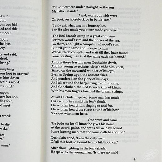 叶芝精装诗选 谢默斯·希尼珍藏 英文原版 W. B. Yeats: Poems 商品图7