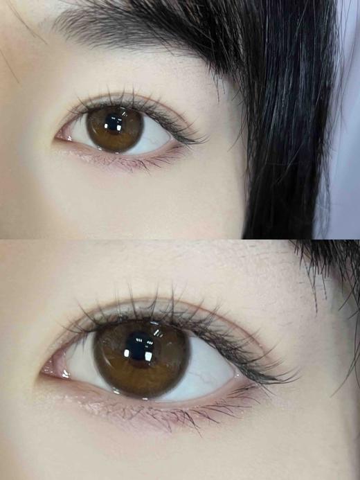 半年抛 Allecon 日落甜酒  14.5 着色13.8 商品图3