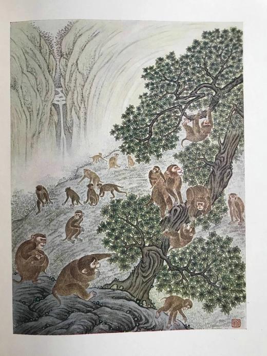 蒋彝《野宾》 近百幅插图（含4幅彩色） 布面精装大32开 商品图4