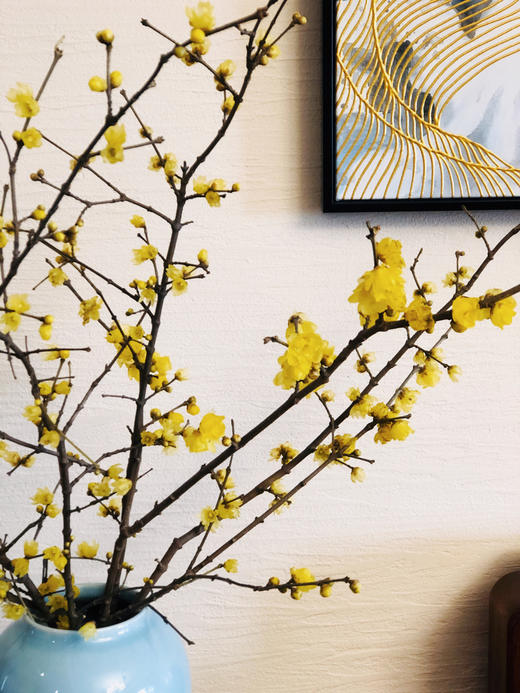 配花 ｜ 中国腊梅 商品图2