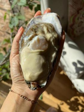 【一入蚝门深似海】真正乳山生蚝乳山核心产区国内生蚝的天花板完美媲美国外顶级生蚝5斤/箱（6~8个）个大肉美营养丰富国家地理标志