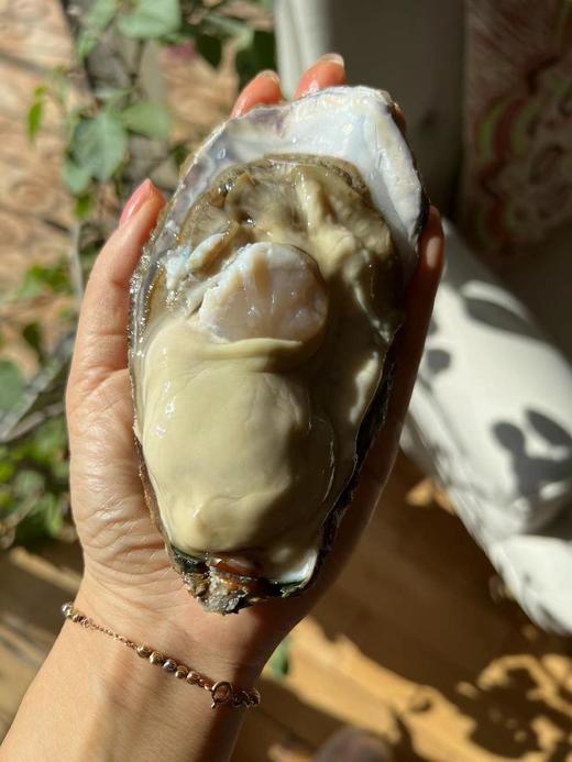 【一入蚝门深似海】真正乳山生蚝乳山核心产区国内生蚝的天花板完美媲美国外顶级生蚝5斤/箱（6~8个）个大肉美营养丰富国家地理标志 商品图0