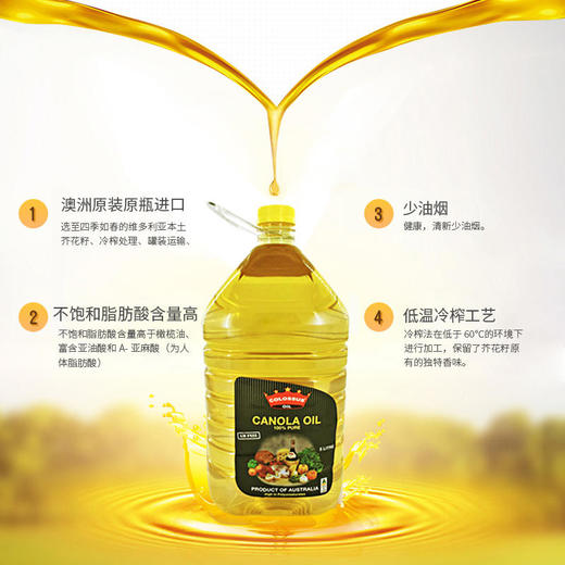 原装进口澳大利亚非转基因食用油组合芥花油油5L物理压榨营养丰富 商品图2