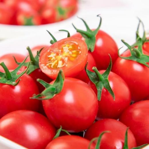 茂名电白千禧小番茄 2/4斤装 （48-72小时发货 下雨推迟） 商品图0