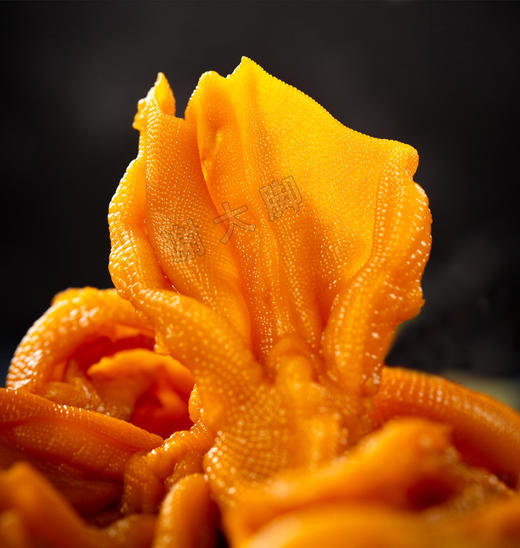 谢大脚，脱骨无骨鸭掌休闲小食品 商品图1