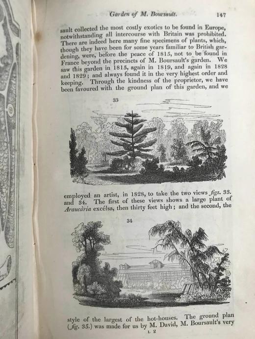 1833年 园丁杂志 近百幅版画插图 真皮精装大32开 商品图13