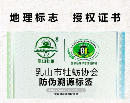 【一入蚝门深似海】真正乳山生蚝乳山核心产区国内生蚝的天花板完美媲美国外顶级生蚝5斤/箱（6~8个）个大肉美营养丰富国家地理标志 商品图8