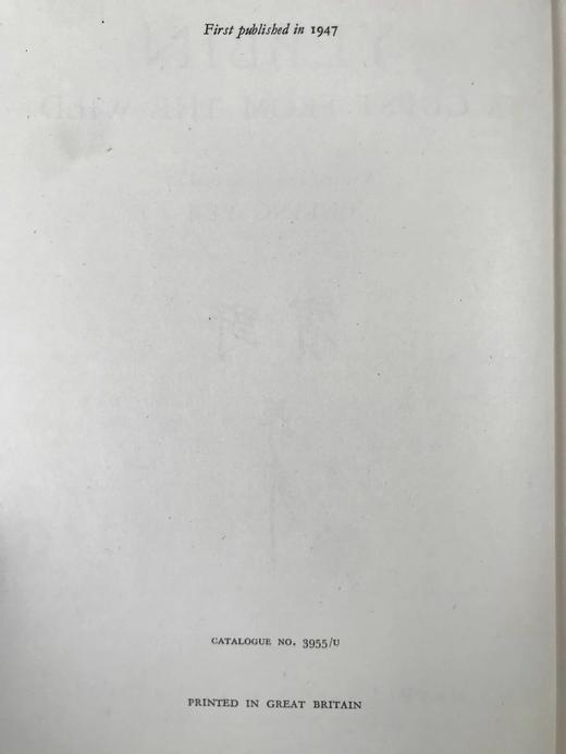 蒋彝《野宾》 近百幅插图（含4幅彩色） 布面精装大32开 商品图3