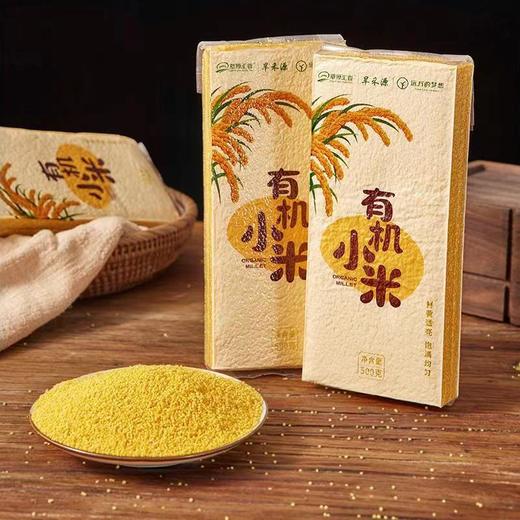 【2021年新米赤峰有机小米】米油丰富好口感健脾养胃内蒙古赤峰毛毛谷小米500g*5包一共5斤装 商品图1