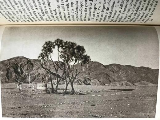 沿着摩西的脚步 25幅插图 漆布精装32开 商品图12