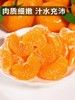 【砂糖橘】3斤/5斤装，纯甜多汁，鲜甜可口 商品缩略图3