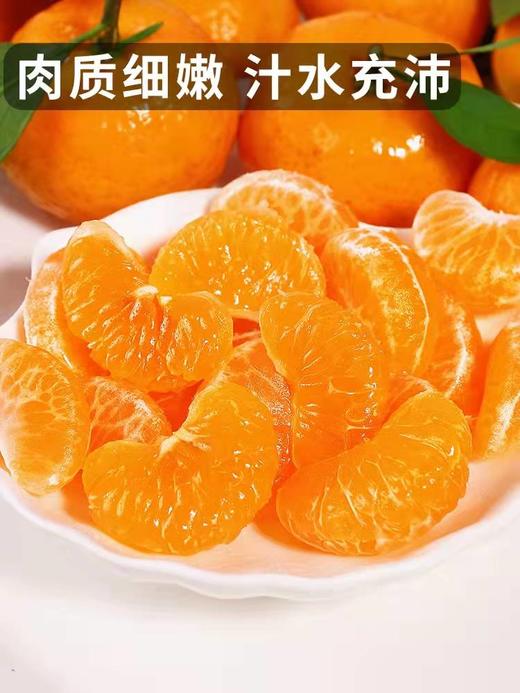 【砂糖橘】3斤/5斤装，纯甜多汁，鲜甜可口 商品图3