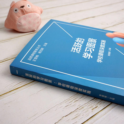 活跃的学习图景：学校课程深度实施 品质课程聚焦丛书 学习方式变革 课程设置与实施创新 小学案例 正版 华东师范大学出版社 商品图2