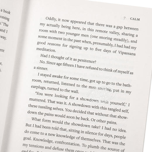 【中商原版】平静 Vintage迷你系列 英文原版 Calm: Vintage Minis Tim Parks 英语小说文学读物  企鹅兰登封面展 商品图3