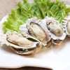 【一入蚝门深似海】真正乳山生蚝乳山核心产区国内生蚝的天花板完美媲美国外顶级生蚝5斤/箱（6~8个）个大肉美营养丰富国家地理标志 商品缩略图4