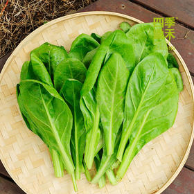 甜菜400g（清炒味涩哦，焯水后用豆腐乳汁下汤味道极美）