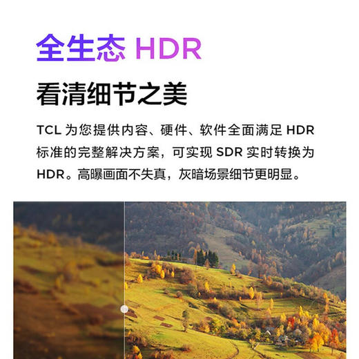 TCL电视 58A88 58英寸 原色高色域 全景全面屏 教育电视 4KHDR液晶平板电视机2GB+16GB 商品图1