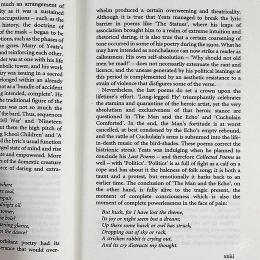 叶芝精装诗选 谢默斯·希尼珍藏 英文原版 W. B. Yeats: Poems 商品图6