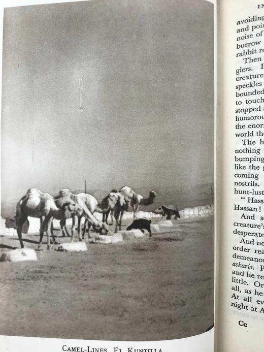 沿着摩西的脚步 25幅插图 漆布精装32开 商品图6