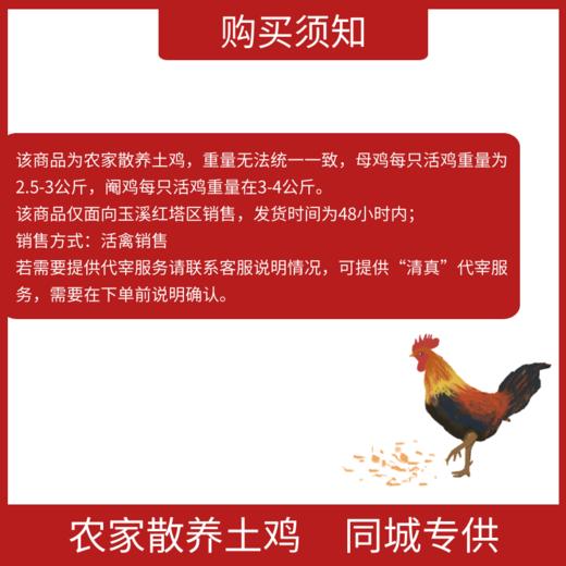 【同城销售】玉溪本地农家散养土鸡峨山竹海旁山地养殖走路鸡跑步鸡活鸡 商品图4
