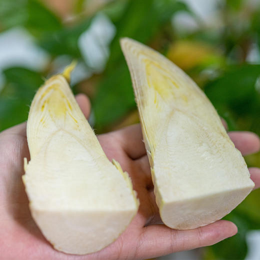 头茬临安天目山冬笋 | 精选两头尖大笋现挖现发 肉质细嫩鲜美 饱满清甜爽脆 清香开胃 肉厚无渣 美味百搭好食材 商品图6