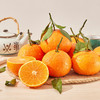 【顶级爱媛只有不到1%的人能吃得到】可以“吸”着吃的橙子皮薄肉厚甜蜜爆汁满满维C精选大果橙意满满5斤装只做核心产区树上熟的一级果甜度不够13坚决不摘 商品缩略图3