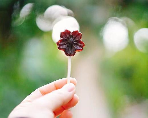 「百年古树梨膏棒棒糖」30支！纯莱阳梨熬制15根/袋*2袋好吃不上火清润不甜腻老少皆宜 商品图3