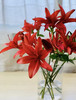 百合 | 红宝石 商品缩略图0