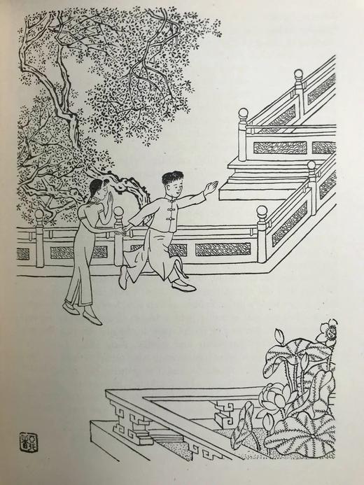 蒋彝《野宾》 近百幅插图（含4幅彩色） 布面精装大32开 商品图14