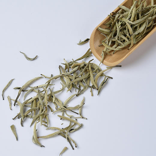凤宁号【月光银针】景谷大白茶春茶月光银针50g 商品图3